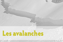 Avalanches