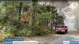 Incendie en Gironde : le feu se propage toujours dans la fort de La Teste-de-Buch